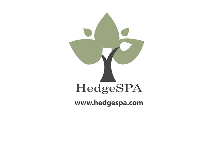 HedgeSPA Pte. Ltd.